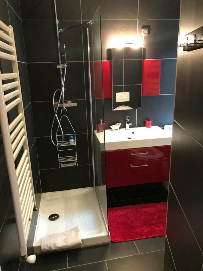 Appartement La Perle de la Vieille ville d'Annecy Extérieur photo